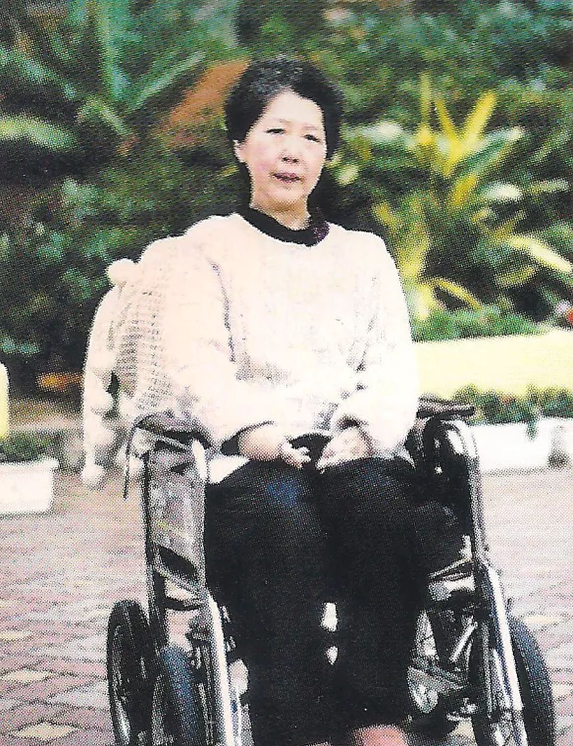 杏林子戶外輪椅照